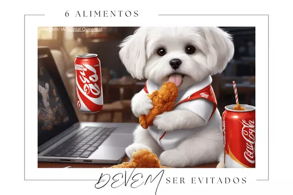 card alimentos que devem ser evitados 2